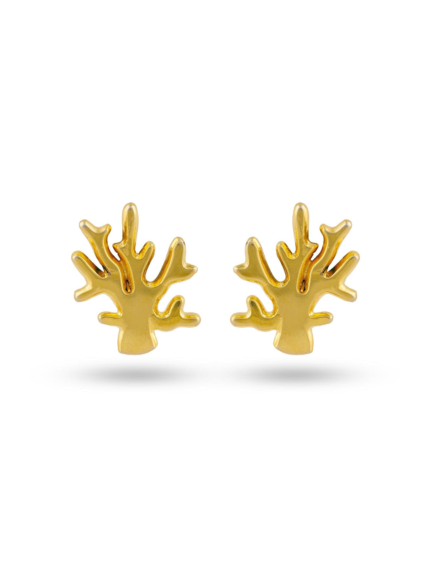 Kelp Studs