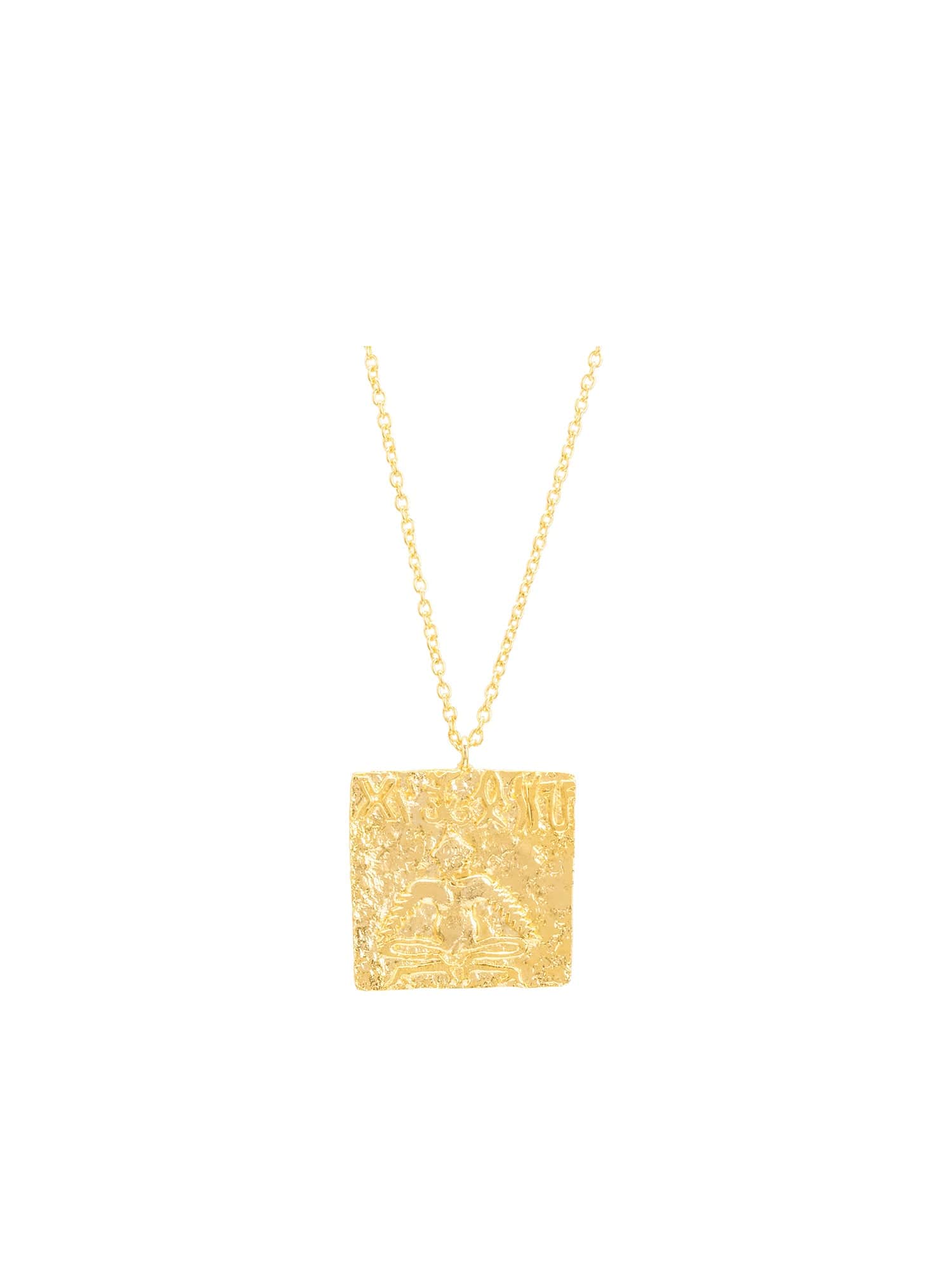 Pashupati seal necklace