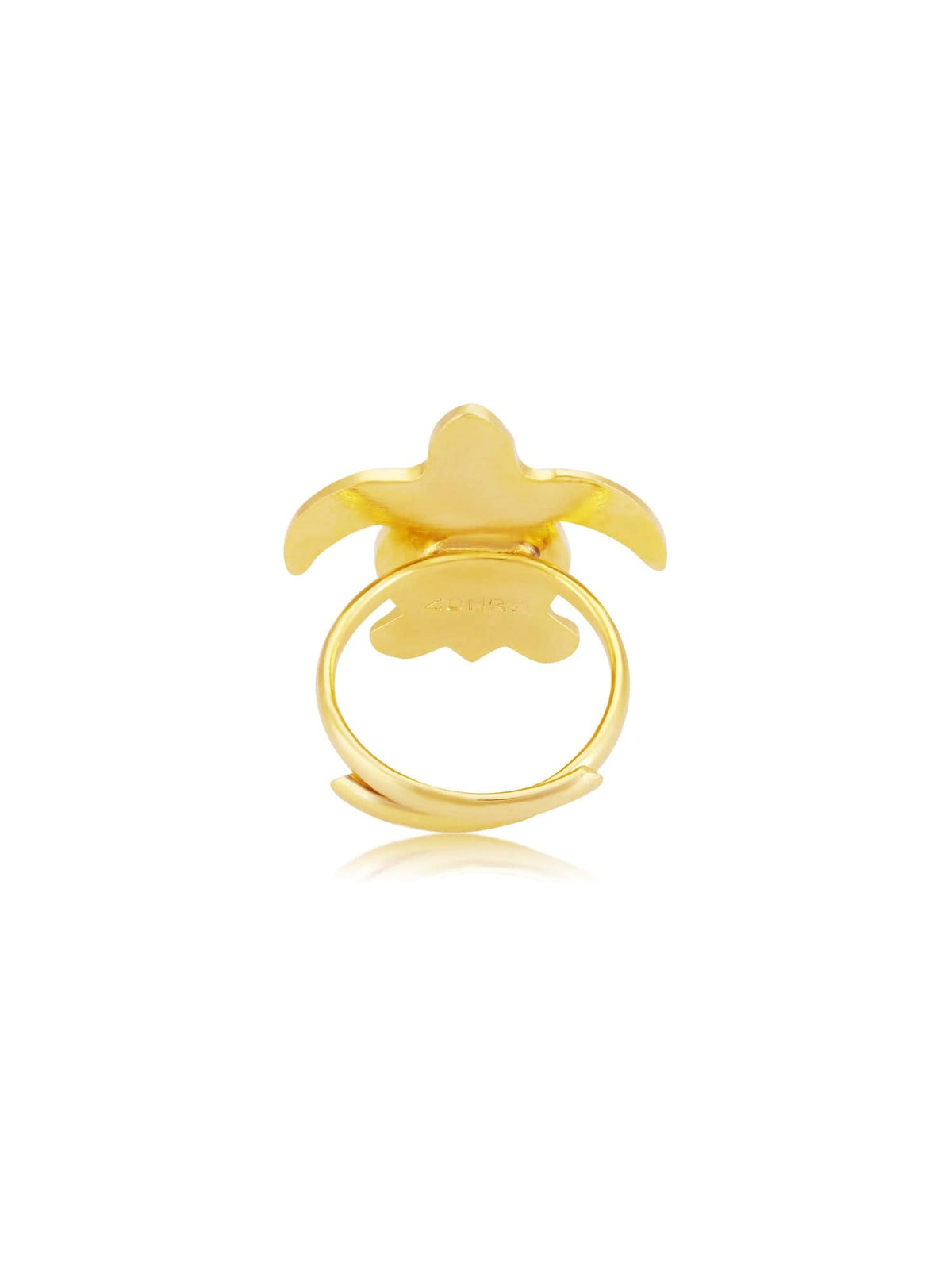 Oceana seaturtle ring