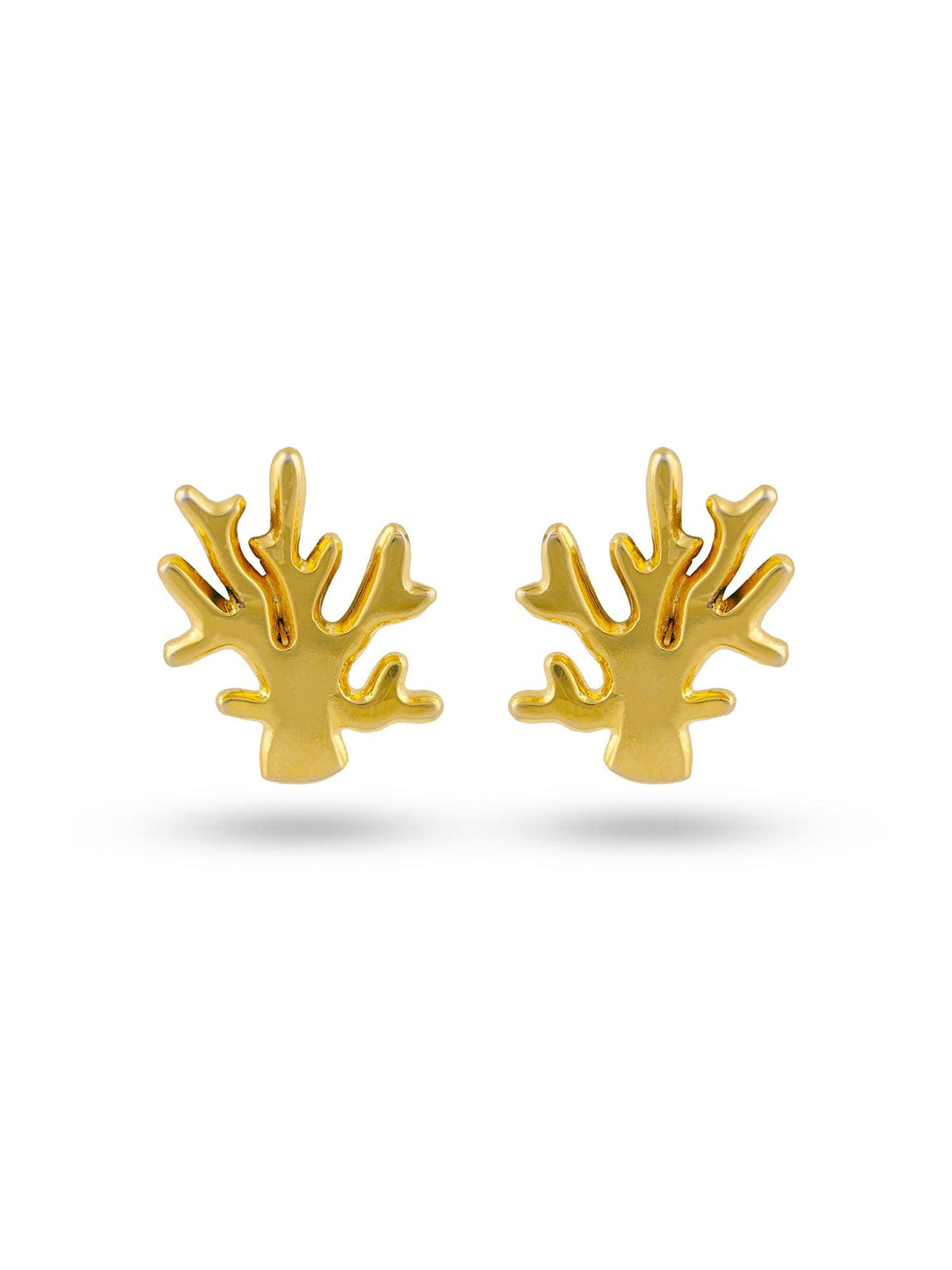 Kelp Studs